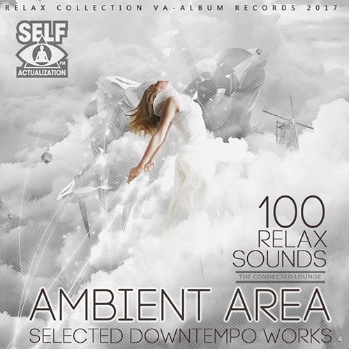 100 Ambient Area Selected Downtempo Works